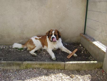 bounty qui fait la star